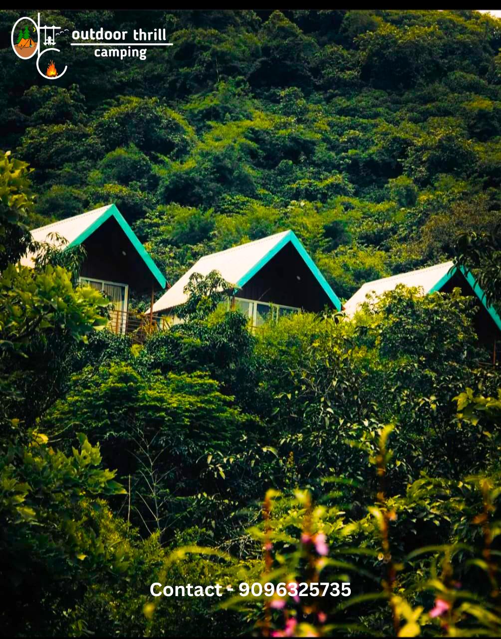pawna forest machan